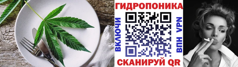 Canna-Cookies марихуана  Купить закладки  Печора 
