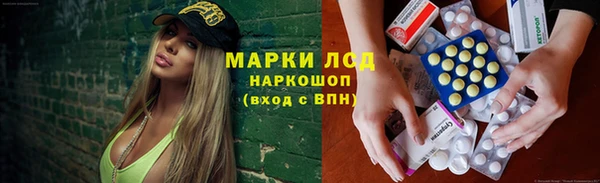 PSILOCYBIN Инта