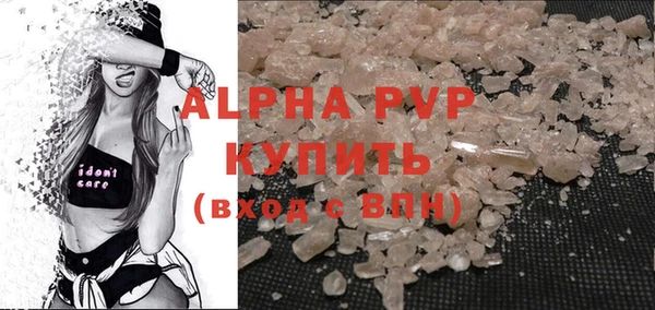 PSILOCYBIN Инта