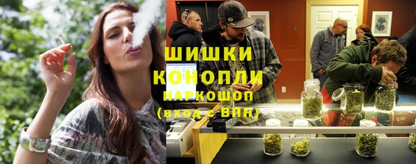 PSILOCYBIN Инта