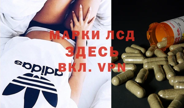 PSILOCYBIN Инта